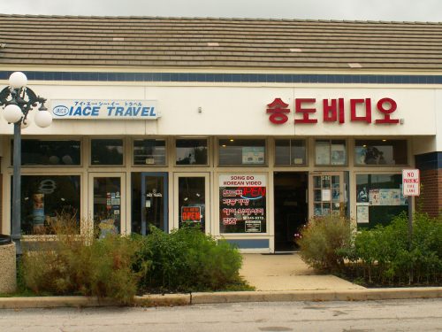 Travel Agency and Video Store
