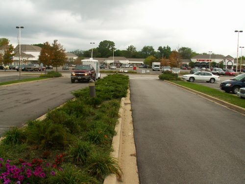 International Plaza