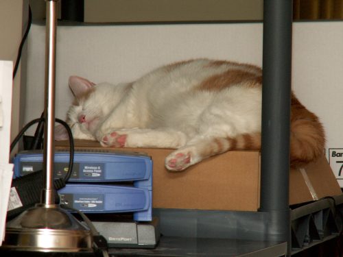 Buffy Really Relaxed