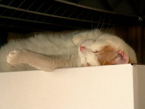 Buffy's Favorite Place 1
