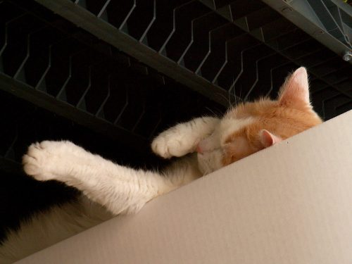 Buffy's Favorite Place 2