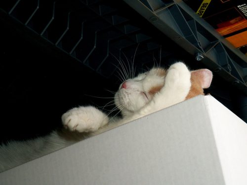 Buffy's Favorite Place 4