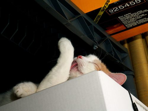 Buffy's Favorite Place 5