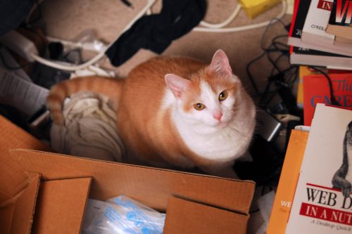 Buffy