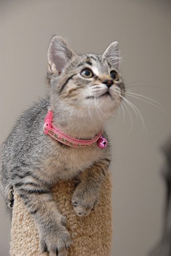Minky!