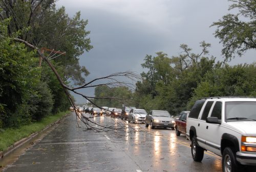 Tree Down On Road and Power Lines