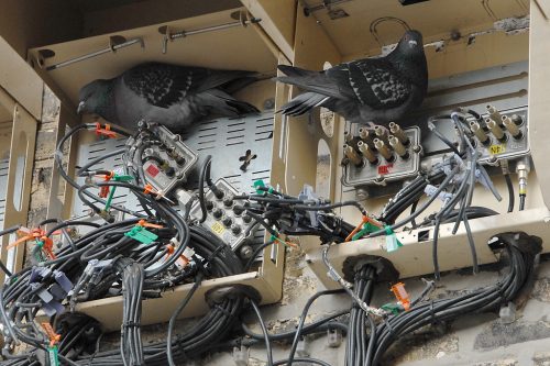 Why Your Cable Television Stops Working...