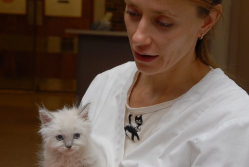Dr. Jennifer Woll With Our New Kitten