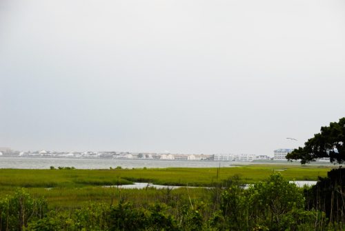 Lagoon at the Jersey Shore