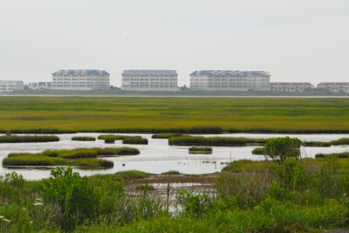 Lagoon at the Jersey Shore