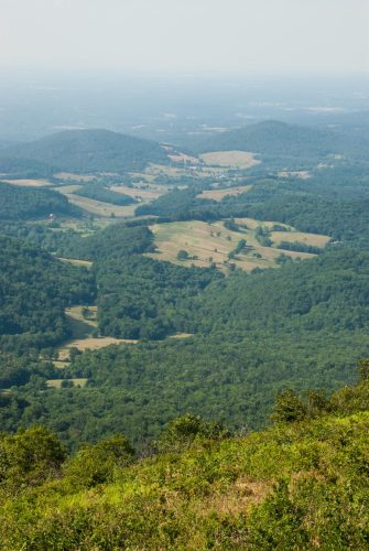 Hazy View of Rolling Hills
