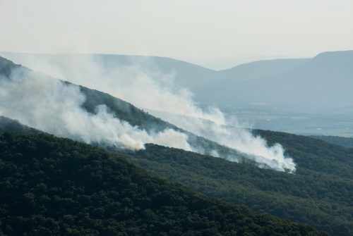 Wildfire