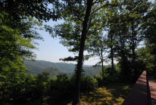 View From the Lodge Porch