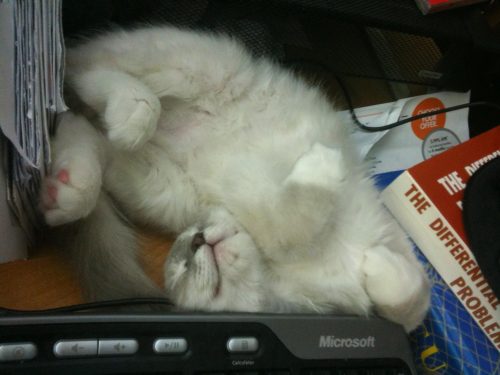 Kiten Malfunction